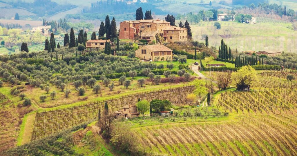 Visitas a Viñedos en Toscana