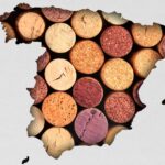 Vinos Españoles que Marcan Tendencia