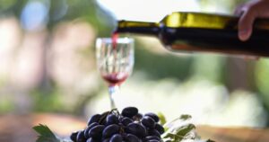 Vinos biodinámicos: tendencias y desafíos