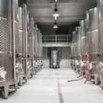 El futuro del vino: Tecnología y sostenibilidad