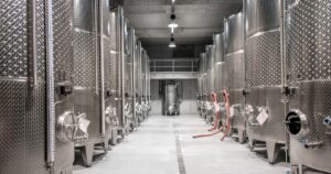 El futuro del vino: Tecnología y sostenibilidad