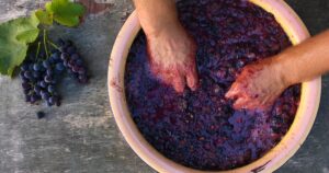 Taller de Creación de Vino