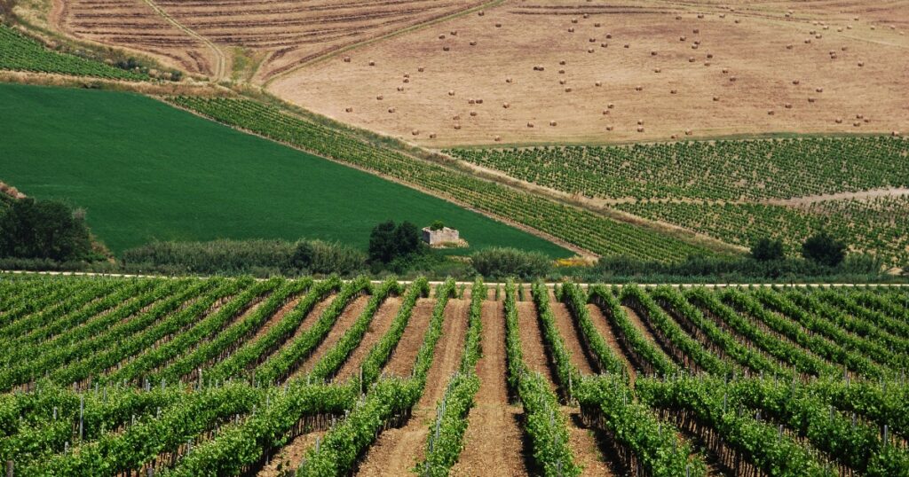 Enoturismo en Sicilia en Sabor Vino