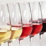 Guía de vinos biodinámicos en Sabor Vino