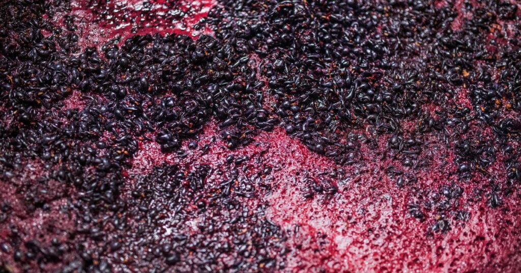 La fermentación maloláctica y su influencia en el vino en Sabor Vino