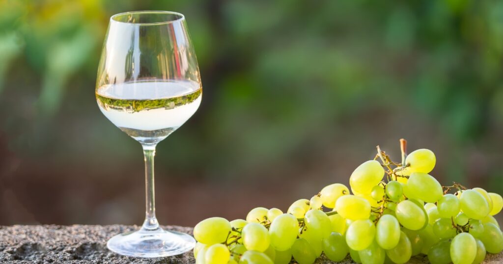 Vinos sin alcohol en Sabor Vino