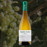 Regina Viarum Godello en Sabor Vino