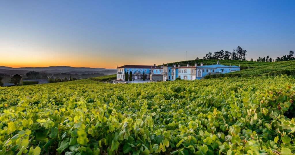 enoturismo Rías Baixas