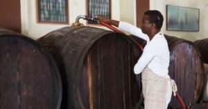 Filtración y clarificación del vino