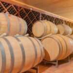 diferencias entre vino joven y crianza