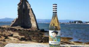 vino blanco sin alcohol