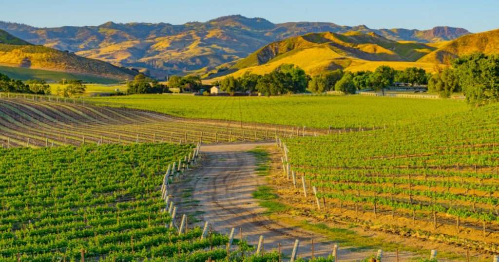 enoturismo en el Valle de Santa Ynez