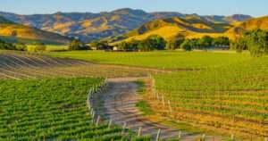 enoturismo en el Valle de Santa Ynez