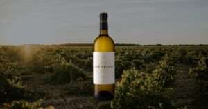 JOSÉ PARIENTE VERDEJO 2024