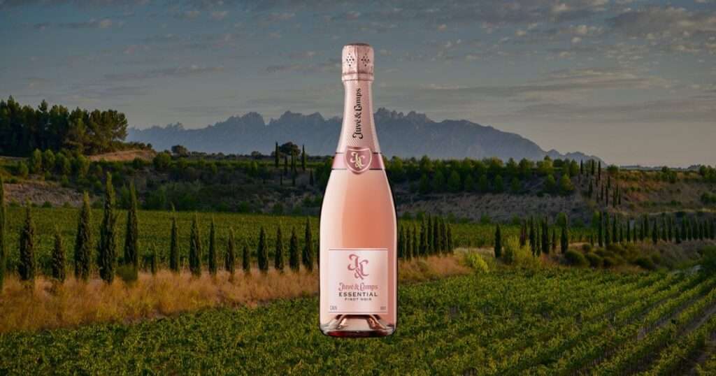 Juvé & Camps Pinot Noir Brut Rosé