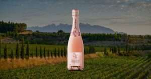 Juvé & Camps Pinot Noir Brut Rosé