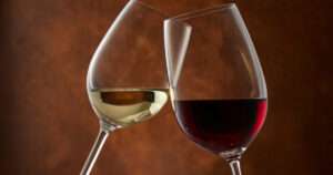 vino para principiantes