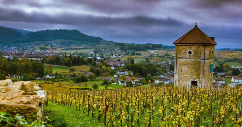 Historia del vino en Francia