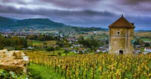 Historia del vino en Francia