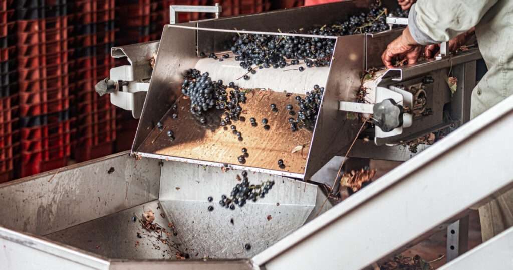 producción de vino