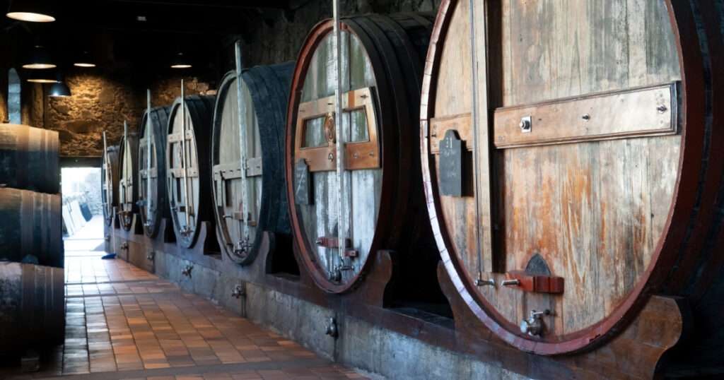 producción de vino en España