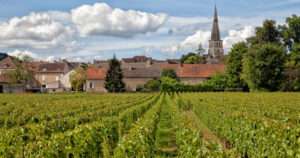 regiones de vino en Francia