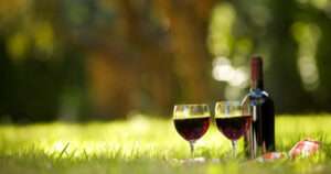 vino natural