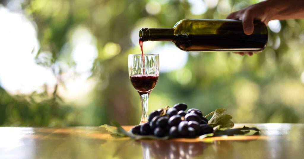 vinos orgánicos y sostenibles