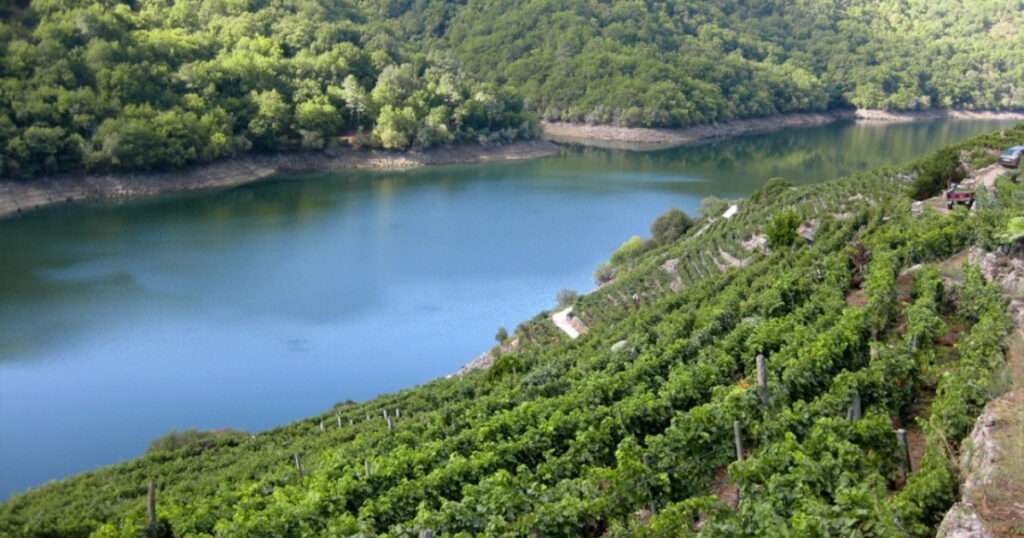 Ribeira Sacra