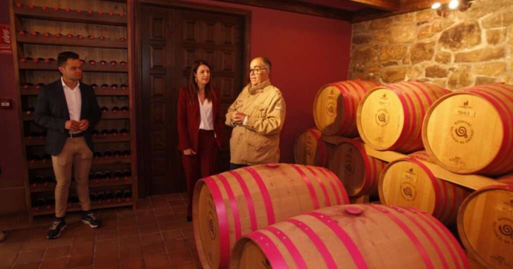 Ribeira Sacra vinos