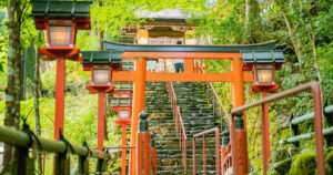 vino en Japón