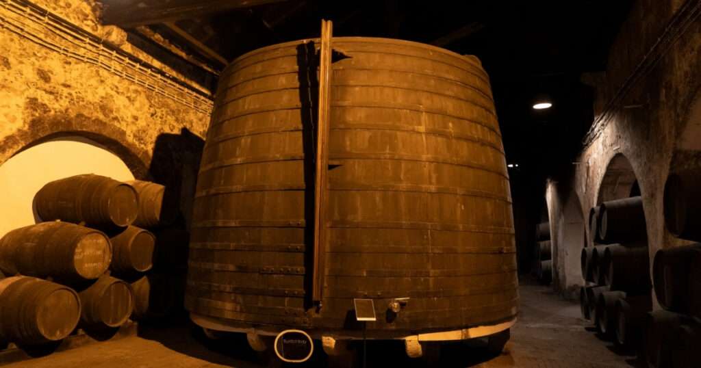 vino viejo y vino joven